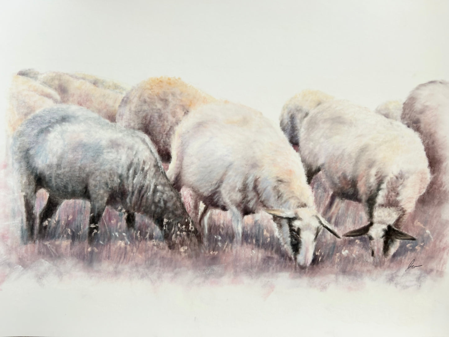 Lambscape