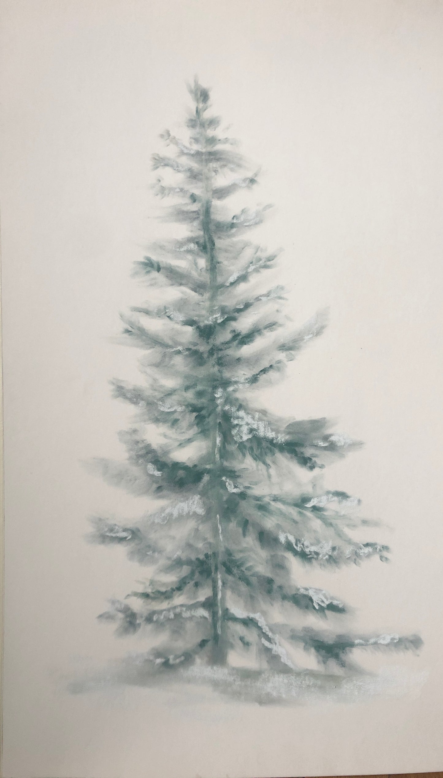 Frosted Pine