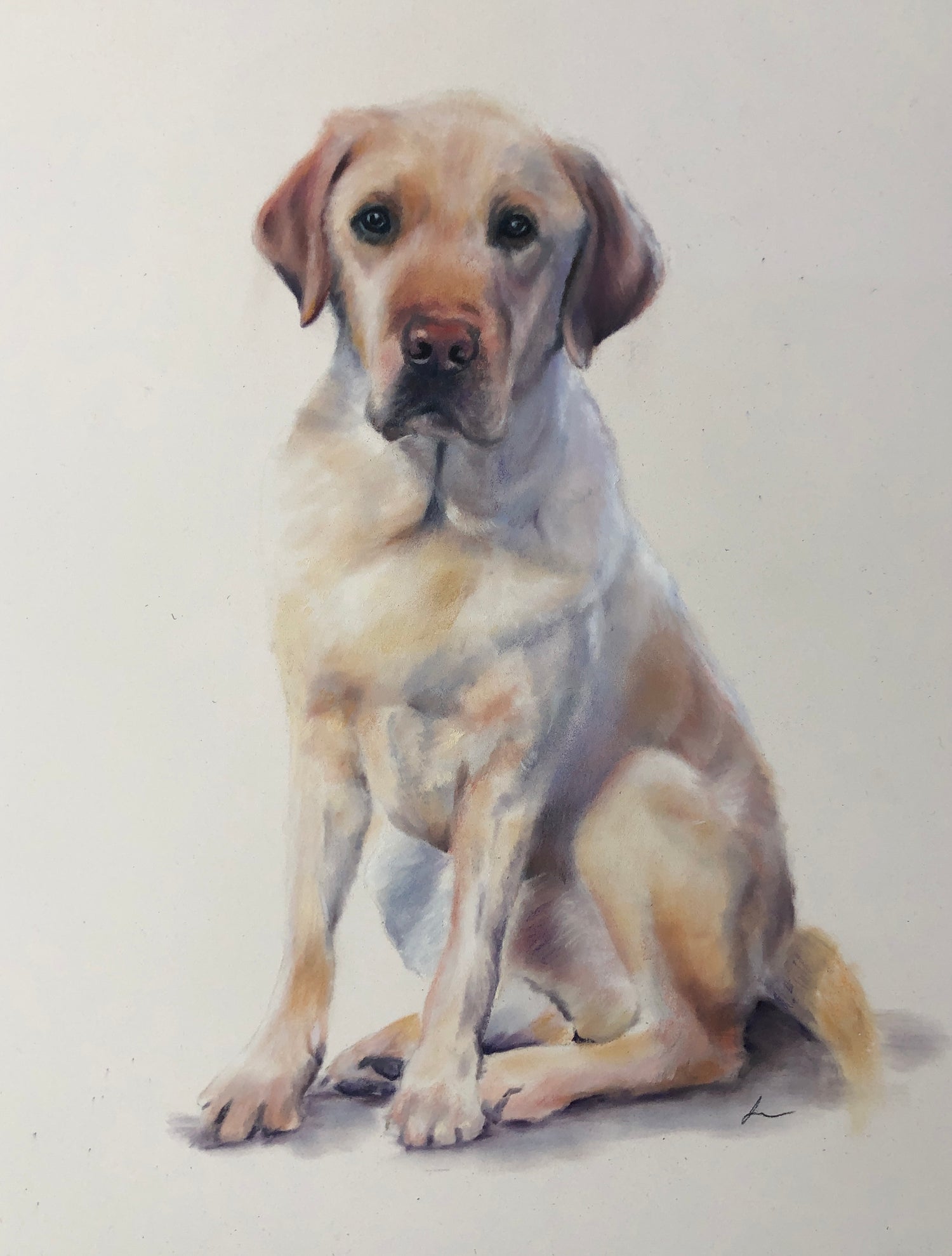 portrait of dog